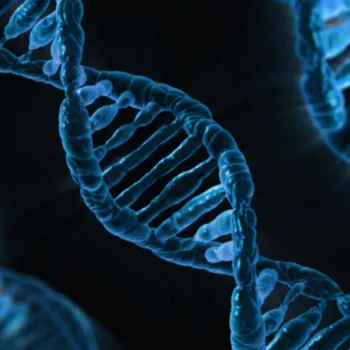Myotonic Dystrophy Treatment