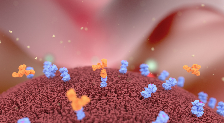 Phase I/II EPCORE NHL-2 trial