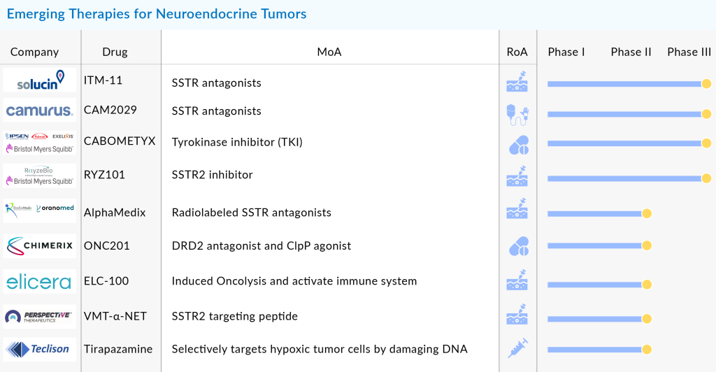 Emerging Therapies for Neuroendocrine Tumors