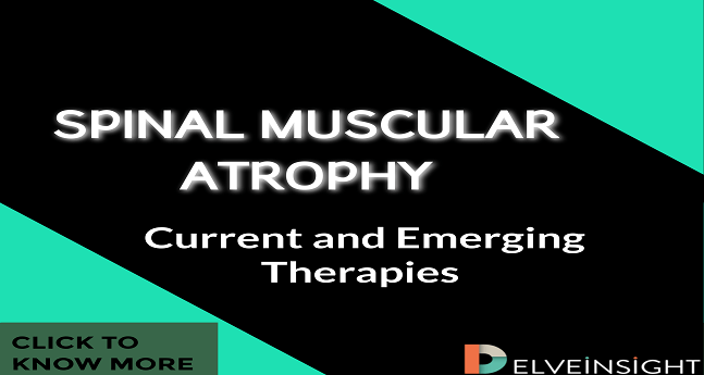 Spinal Muscular Atrophy Therapies