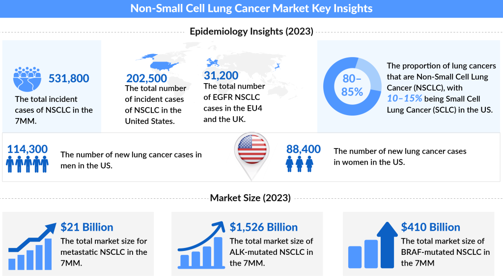 Non-Small Cell Lung Cancer Market Key Insights