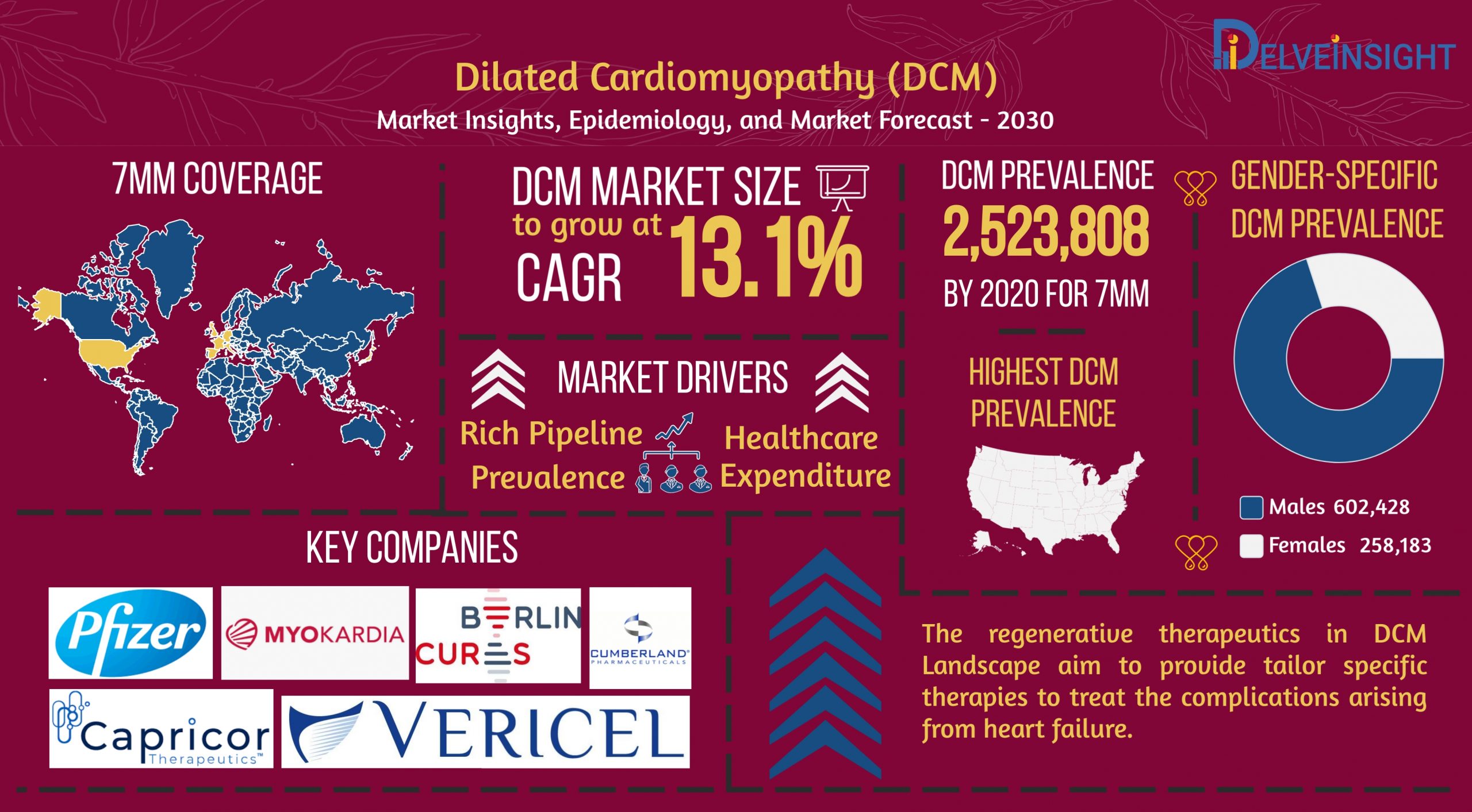 Dilated Cardiomyopathy Market | DCM Market 