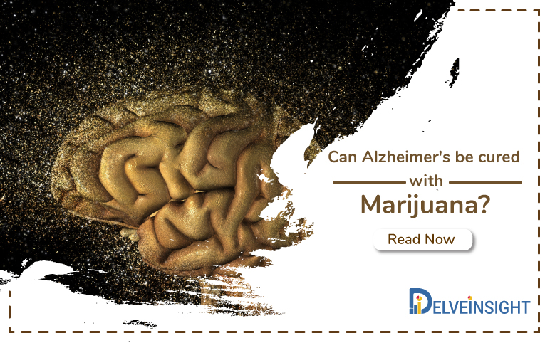 marijuana-to-treat-Alzheimer's