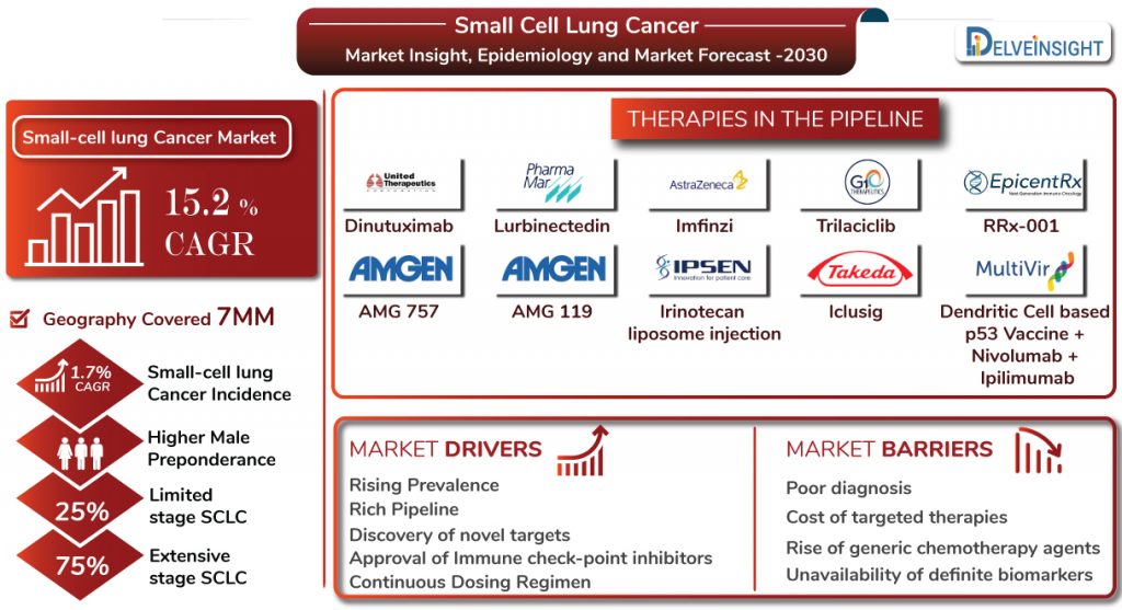 Small Cell Lung Cancer Market