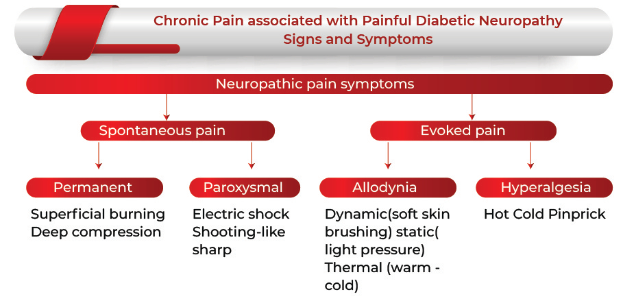 Chronic Pain Associated With Painful Diabetic Neuropathy: Signs and Symptoms | Chronic Pain Associated With Painful Diabetic Neuropathy Market