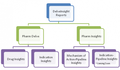 delveinsight-reports