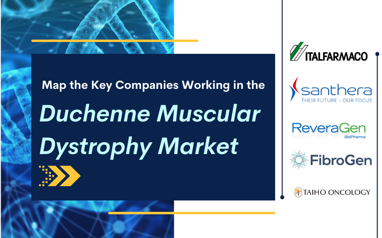 duchenne-muscular-dystrophy-market-size-share-trends-companies-cagr-growth-therapy-treatment-therapeutics