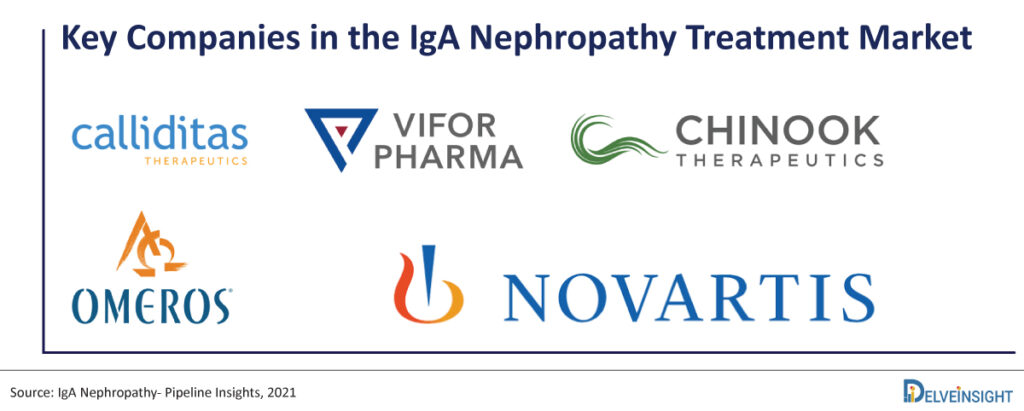 Key-Companies-in-the-IgA-Nephropathy-Treatment-Market