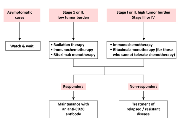 Follicular-Lymphoma-treatment-outlook