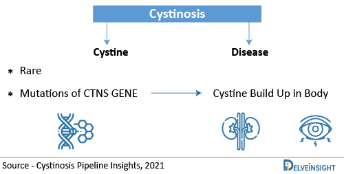 development-of-cystinosis