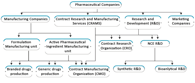 Contract Development and Organization Analysis