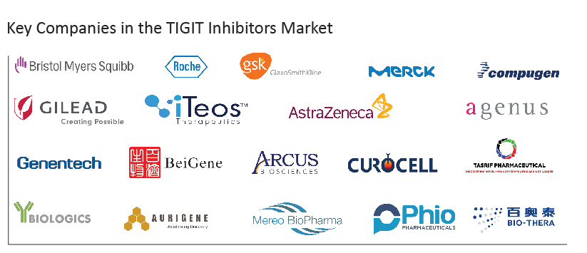 key-companies-in-the-tigit-inhibitors-market