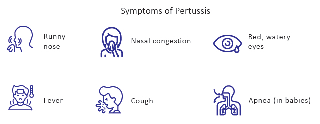 symptoms-of-pertussis