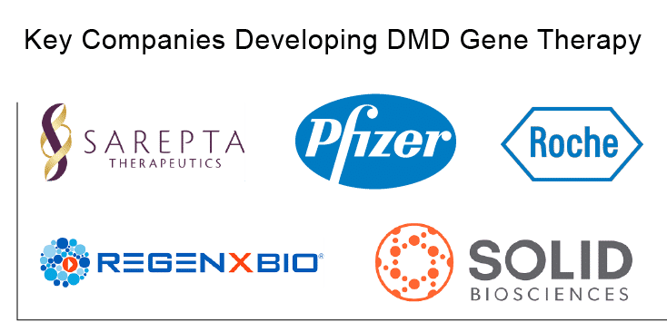 Key-Companies-in-Duchenne-Muscular-Dystrophy-DMD-Gene-Therapy-Market