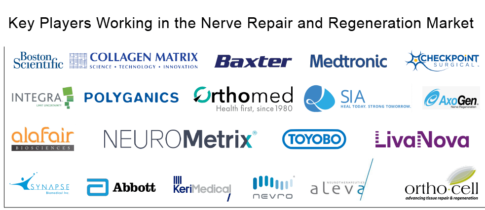 Players Working in the Nerve Repair and Regeneration Market