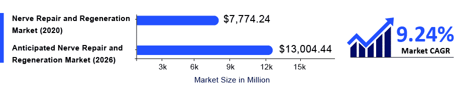 Nerve Repair and Regeneration market size