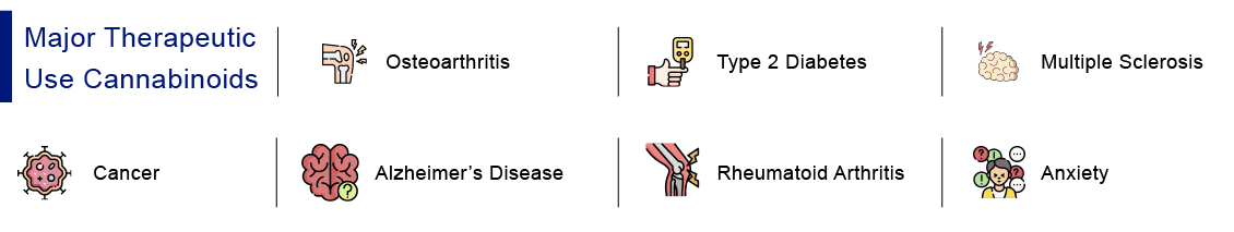 Therapeutic Uses of Cannabinoids