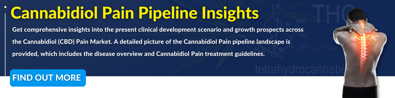 Cannabidiol Pain Pipeline Insights