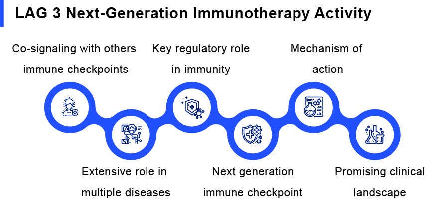 Next-Generation LAG 3 Immunotherapy