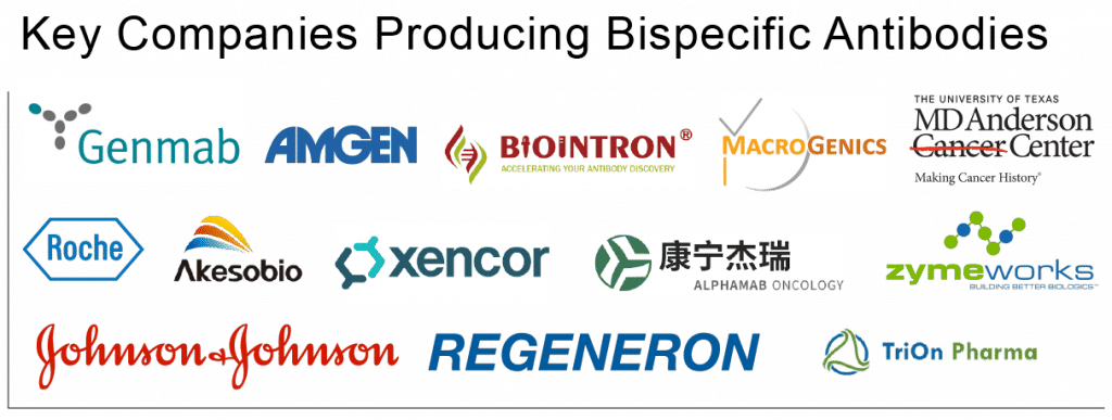 Key companies in the Bispecific Antibodies Market