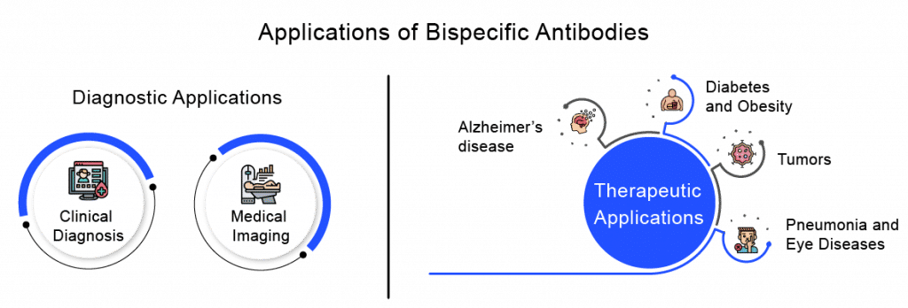 Applications of Bispecific Antibodies