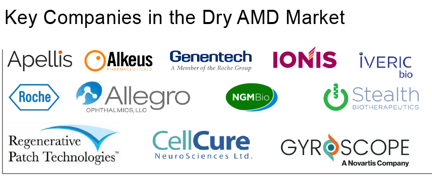 Companies in Dry AMD Market