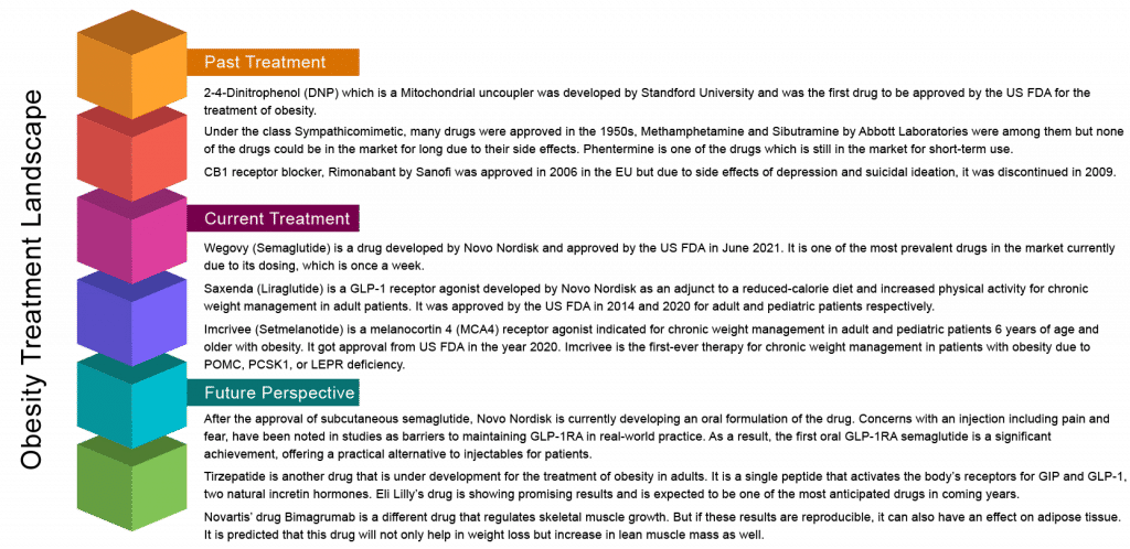 Obesity treatment landscape