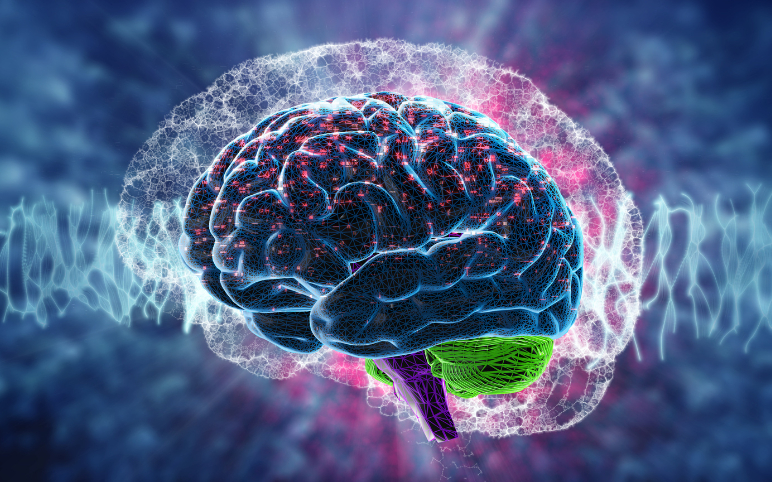 Epileptic Encephalopathy