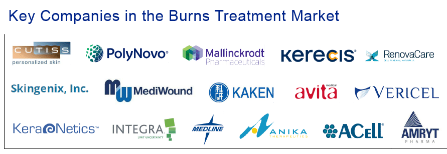Leading Companies in the Burns Treatment Market