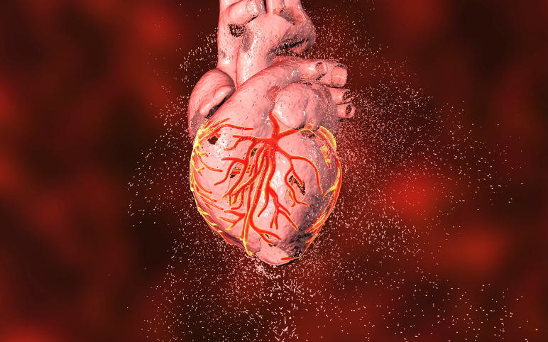 Cardiac Devices in Cardiovascular Diseases Management