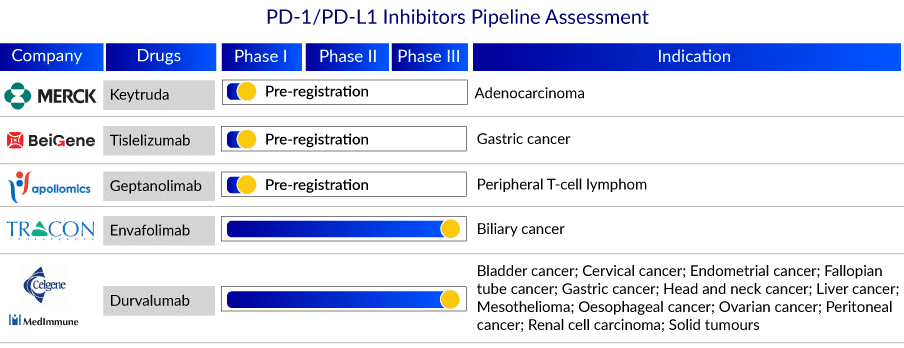 PD-1 and PDL-1 Inhibitor Pipeline