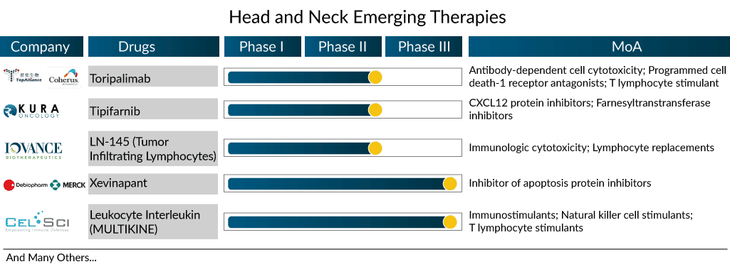 Head and Neck Cancer Therapies