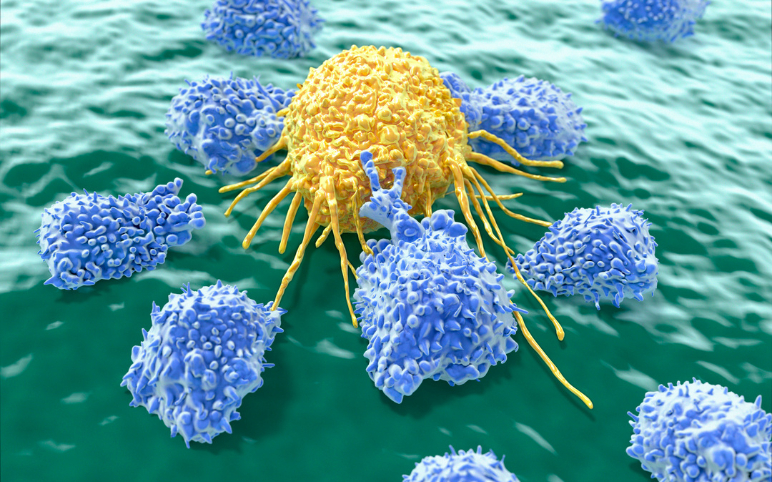 Lupus Nephritis Treatment Market Outlook and Emerging Therapies