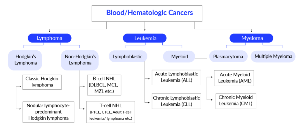 Blood Hematologic Cancers