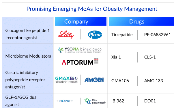 Promising Emerging MoAs for Obesity Management