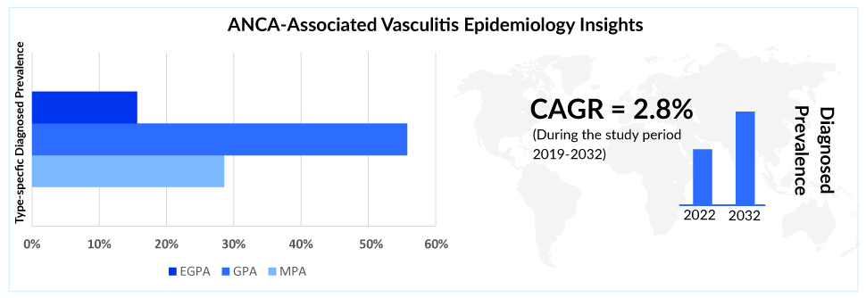 ANCA Associated Vasculitis Epidemiology Insights