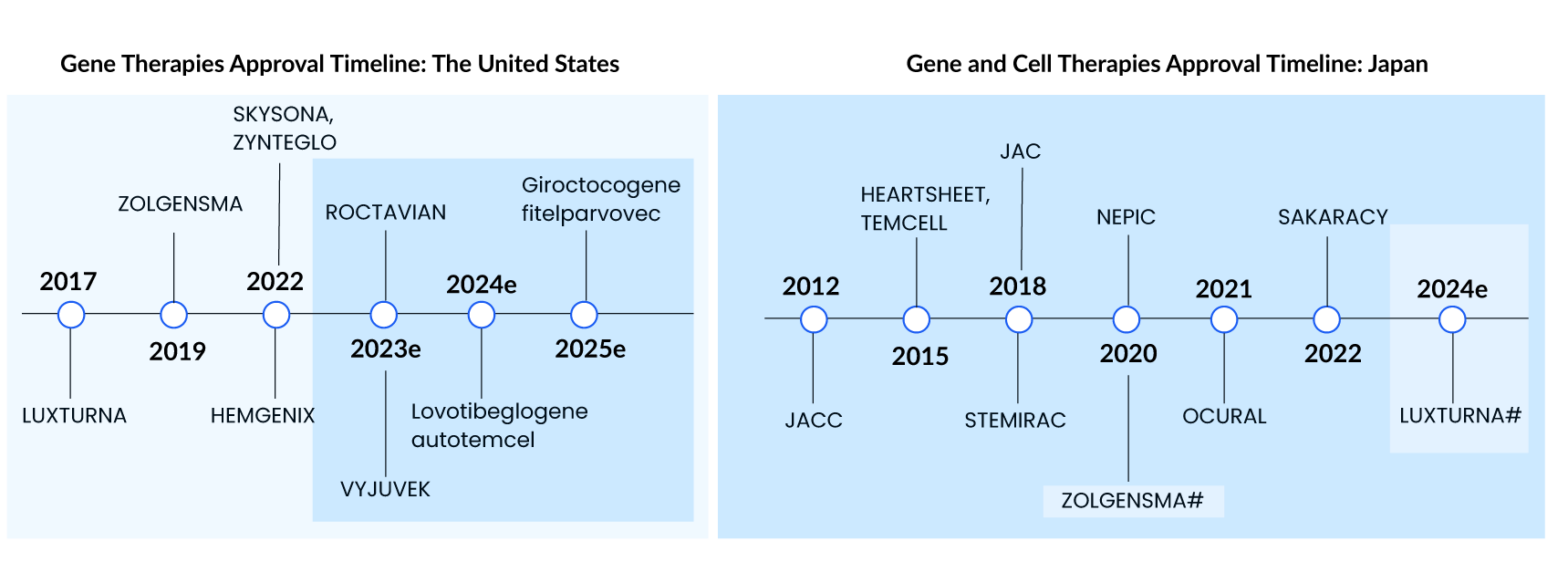 Cell and Gene Therapies in Rare Disorders | Key Insights