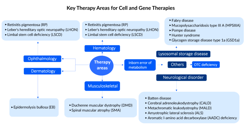 Key Therapy Areas for Cell and Gene Therapies