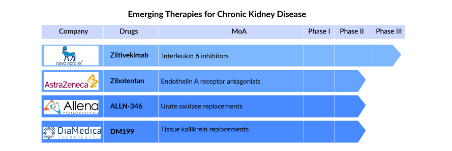 Emerging Therapies for Chronic Kidney Disease