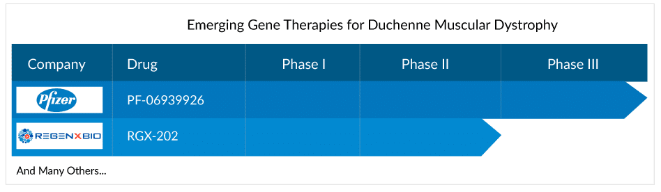Emerging Gene Therapies for Duchenne Muscular Dystrophy
