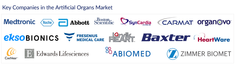 Key Companies in the Artificial Organs Market
