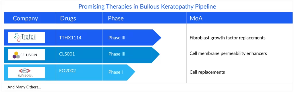 Promising Therapies in Bullous Keratopathy Pipeline
