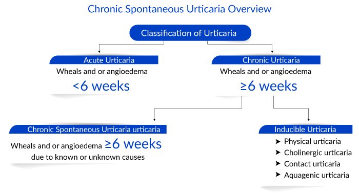 Chronic Spontaneous Urticaria Overview