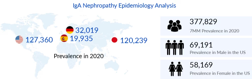 IgA Nephropathy Epidemiology Analysis