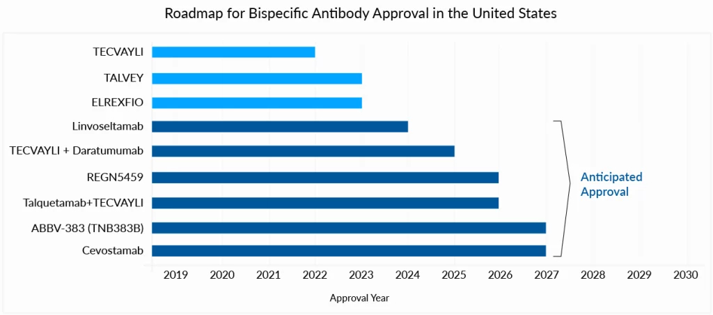 Roadmap for Bispecific Antibody Approval in the United States