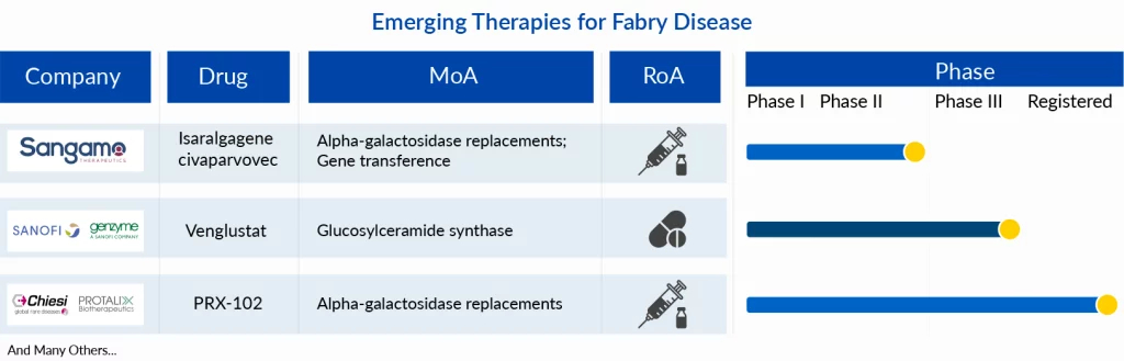 Emerging Therapies for Fabry Disease