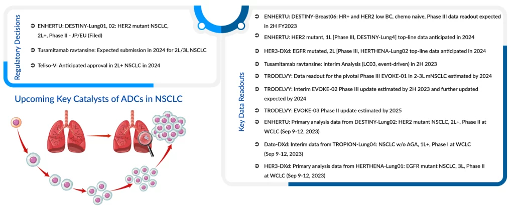 Upcoming Key Catalysts of ADCs in NSCLC