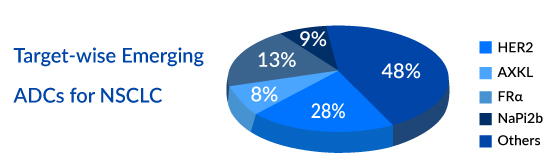 Target-wise Emerging ADCs for NSCLC