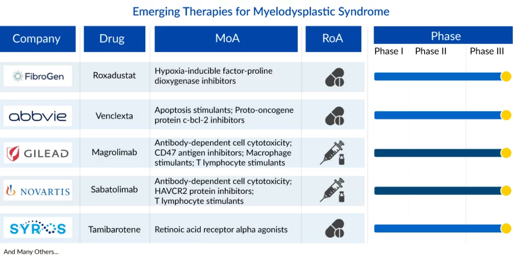 Emerging Therapies for Myelodysplastic Syndrome