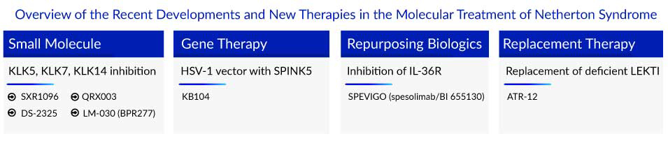 Overview of the Recent Developments and New Therapies in the Molecular Treatment of Netherton Syndrome